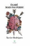 Égaré mais pas perdu