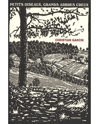 Petits oiseaux, grands arbres creux - Christian Garcin - broché