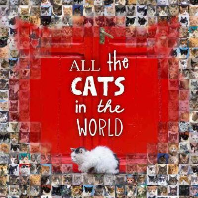 ALL THE CATS IN THE WORLD