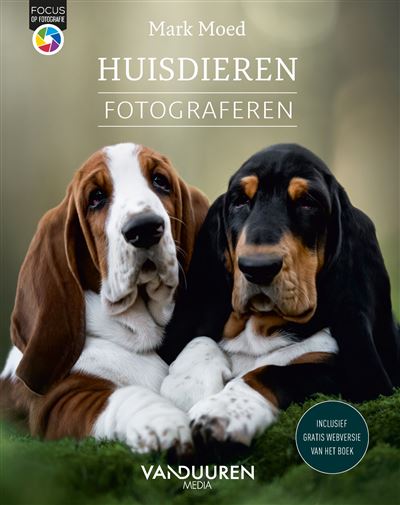 Huisdieren fotograferen