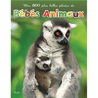 Bébés animaux