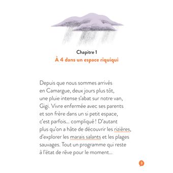 La famille Belle-Etoile - Invité surprise en Camargue - CP/CE1 6/7 ans