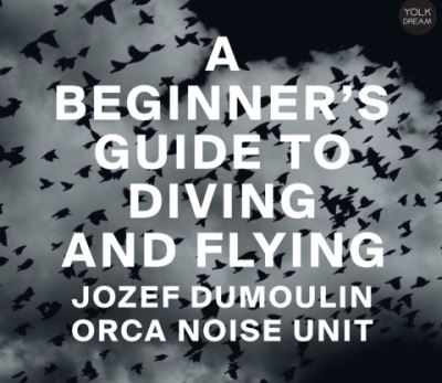 A Beginner’s Guide To Diving And Flying