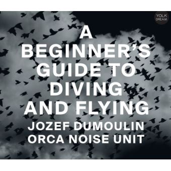 A Beginner’s Guide To Diving And Flying