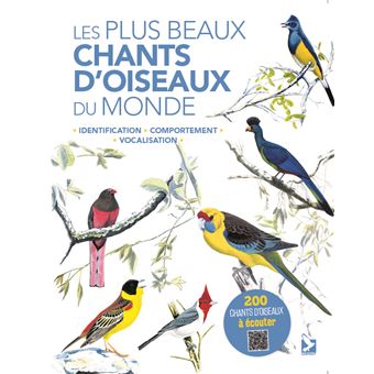 Les plus beaux chants d'oiseaux du monde