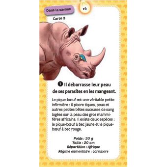 Quiz des animaux