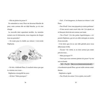 Le fantôme de Barbapuces