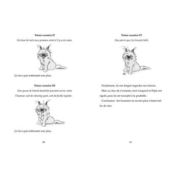 Le fantôme de Barbapuces