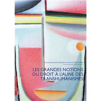 Les grandes notions du droit à l'aune du transhumanisme