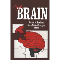 The Brain