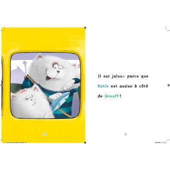 Je lis avec Splat: Splat, poisson-chat - Niveau 2