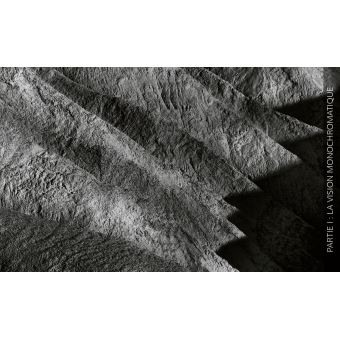 La Photographie en noir et blanc numérique