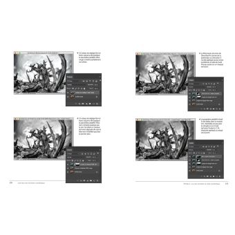 La Photographie en noir et blanc numérique