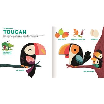 Les animaux de la jungle