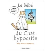 4 Avis Sur Le Bebe Du Chat Hypocrite Helene Lasserre Gilles Bonotaux Broche Fnac