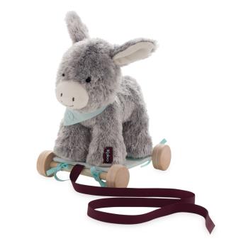 KALOO LES AMIS - REGLISS ANON A TRAINER