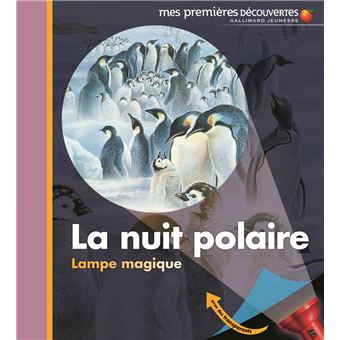 La nuit polaire
