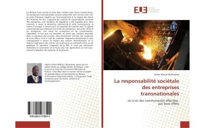 La responsabilité sociétale des entreprises transnationales