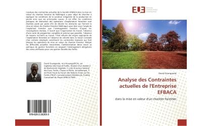 Analyse des contraintes actuelles de l'entreprise efbaca - d