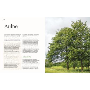 Les arbres nourriciers et médicinaux