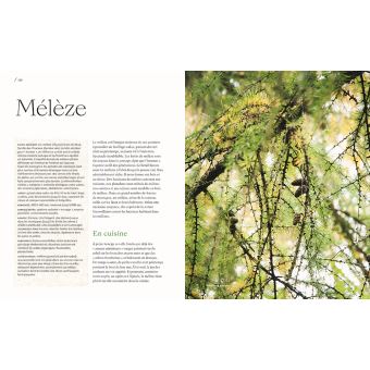 Les arbres nourriciers et médicinaux