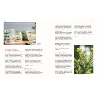 Les arbres nourriciers et médicinaux