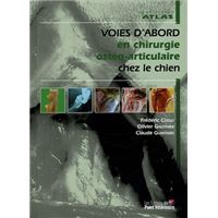 Voies d'abord en chirurgie ostheopatique articulaire chez le chien