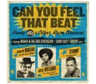 Can you feel that beat funk 45s and other rare grooves