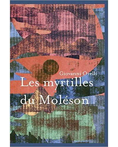 Les myrtilles du moleson
