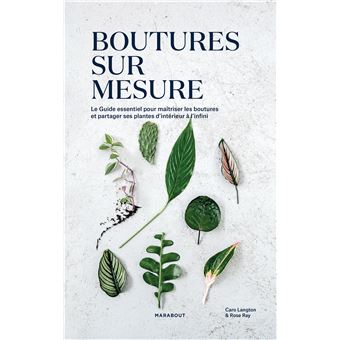 Bouture sur mesure
