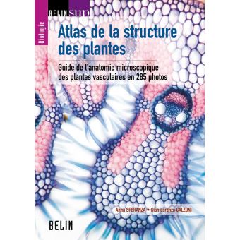 Atlas de la structure des plantes - 1