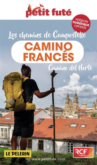 Guide Chemins de Compostelle : Camino frances 2023 Petit Futé - Dominique Auzias, Jean-Paul Labourdette (2023)