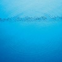 Suddenly - CD