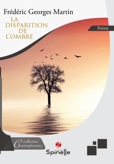 La disparition de l'ombre