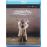 Zoroastre Blu-ray_0