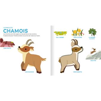 Les animaux de la montagne