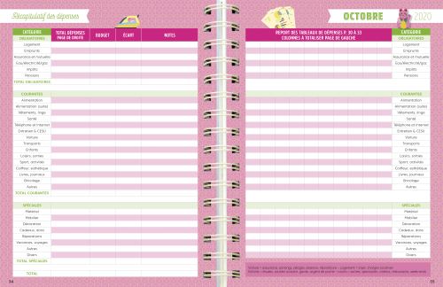 Budget mensuel Familial : Carnet Budgétaire - A4 - 145 pages – 1 an -  broché - NLFBP Editions, Livre tous les livres à la Fnac