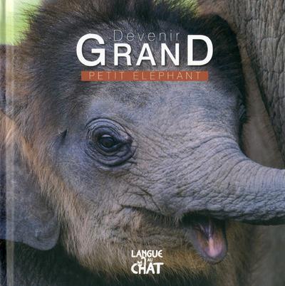 Devenir grand : Petit éléphant