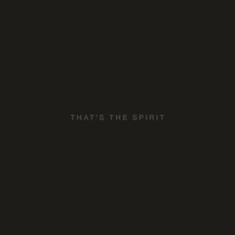 Bring Me The Horizon - 1