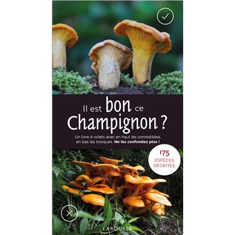 Il est bon ce champignon ?