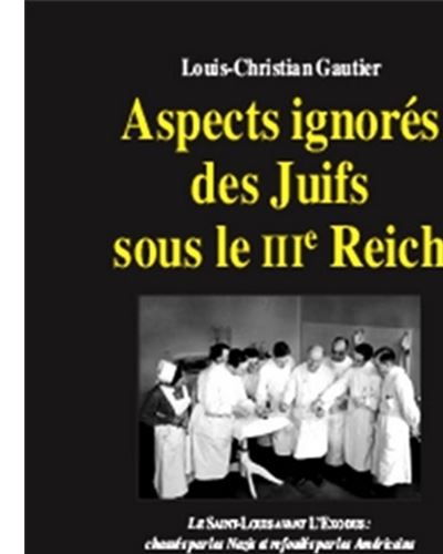 Aspects ignores des juifs sous le 3e reich