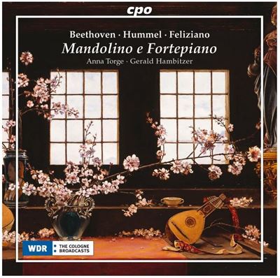 Oeuvres pour mandoline et pianofort