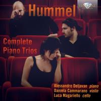 Intégrale des trios avec piano - 2 CD