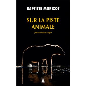 Sur la piste animale