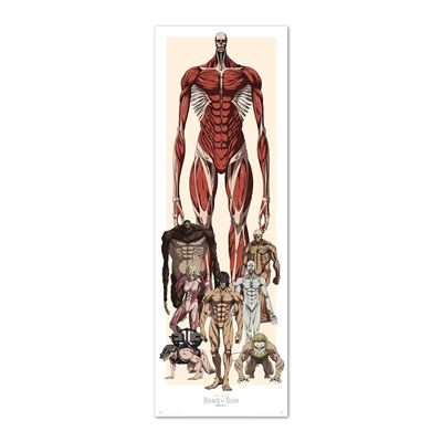 Poster porte Attack On Titan
