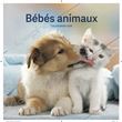 Calendrier Bébés Animaux 2026