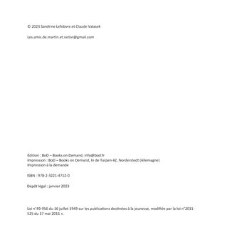 Martin, Victor et les hirondelles