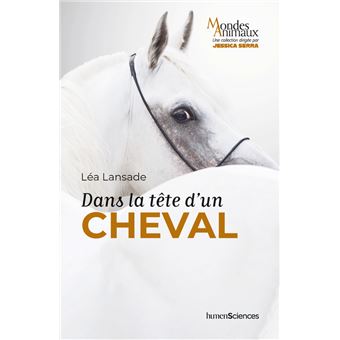 Dans la tête d'un cheval