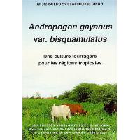 Andropogon gayanus var. bisquamulatus