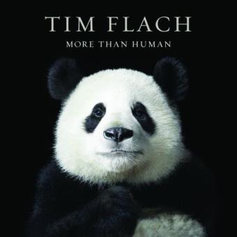 More than human - relié - Tim Flach - Achat Livre | fnac